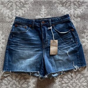 MADEWELL • Curvy High Rise Denim, Danny Wash